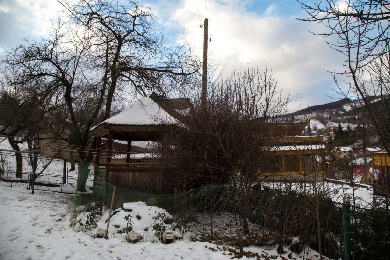 Zabava Apartman Jaremcse Kültér fotó